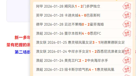 教练担当：小球员踢人风波，教练责任不可轻忽